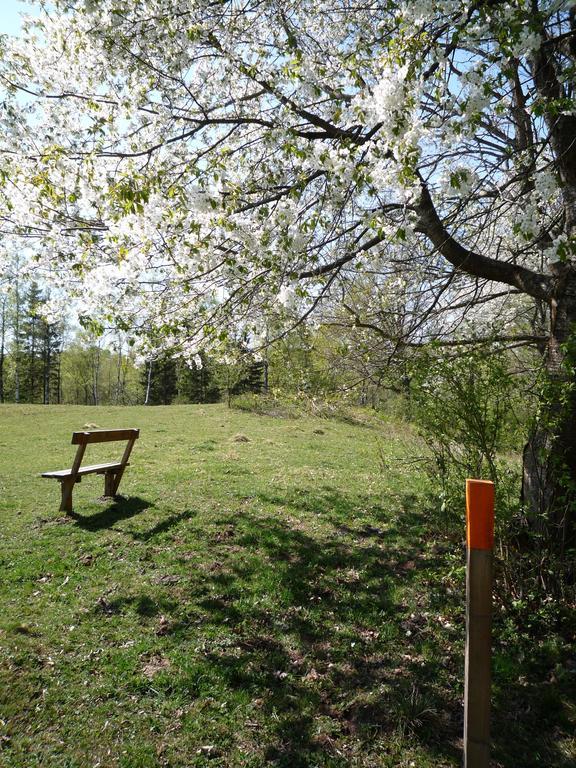 Valle Vandrarhem Axvall Exteriér fotografie