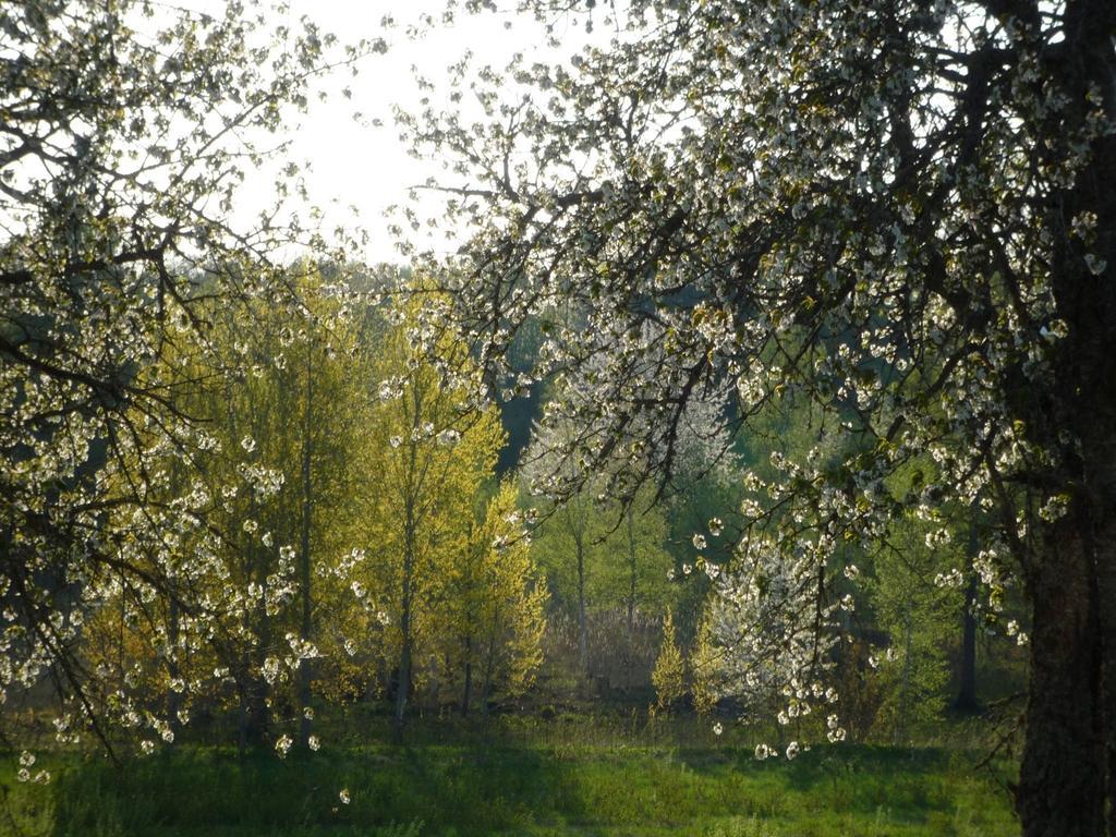 Valle Vandrarhem Axvall Exteriér fotografie
